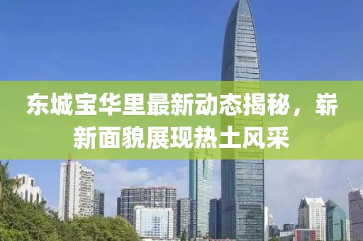 東城寶華里最新動態(tài)揭秘，嶄新面貌展現(xiàn)熱土風(fēng)采