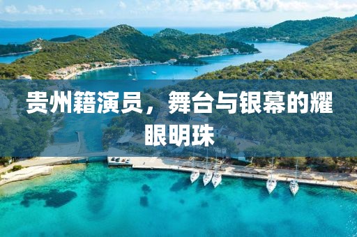 貴州籍演員，舞臺(tái)與銀幕的耀眼明珠