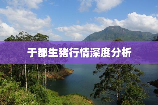 于都生豬行情深度分析