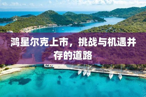 鴻星爾克上市，挑戰(zhàn)與機(jī)遇并存的道路