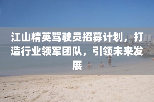 江山精英駕駛員招募計劃，打造行業(yè)領軍團隊，引領未來發(fā)展