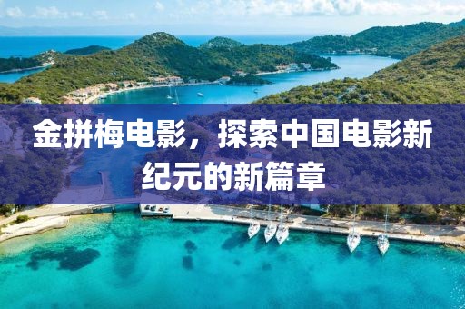 金拼梅電影，探索中國(guó)電影新紀(jì)元的新篇章