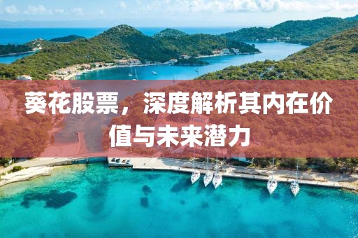 葵花股票，深度解析其內(nèi)在價(jià)值與未來(lái)潛力