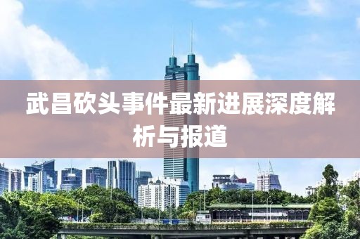 武昌砍頭事件最新進(jìn)展深度解析與報道