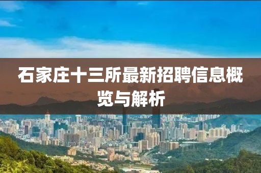石家莊十三所最新招聘信息概覽與解析