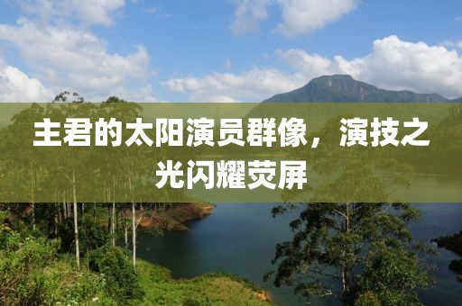 主君的太陽演員群像，演技之光閃耀熒屏