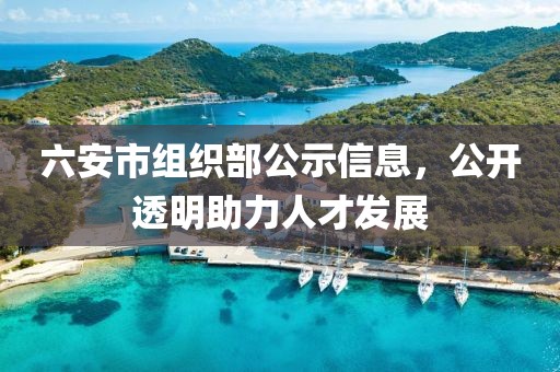 六安市組織部公示信息，公開(kāi)透明助力人才發(fā)展