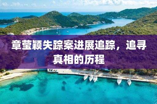 章瑩穎失蹤案進展追蹤，追尋真相的歷程