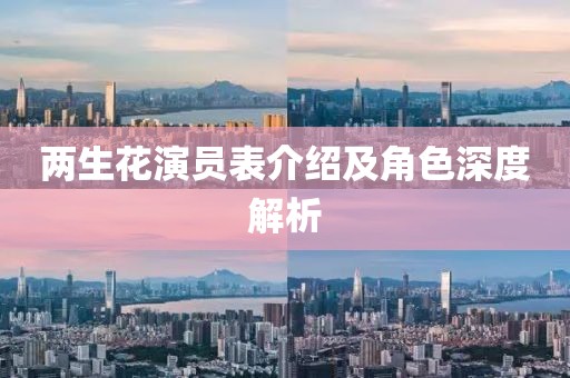 兩生花演員表介紹及角色深度解析