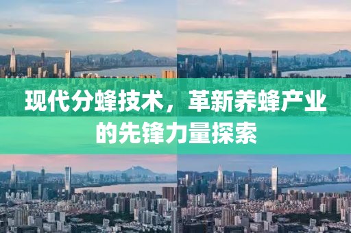 現(xiàn)代分蜂技術(shù)，革新養(yǎng)蜂產(chǎn)業(yè)的先鋒力量探索