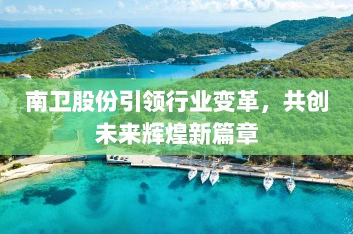 南衛(wèi)股份引領(lǐng)行業(yè)變革，共創(chuàng)未來(lái)輝煌新篇章