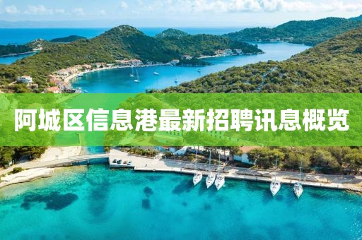 阿城區(qū)信息港最新招聘訊息概覽