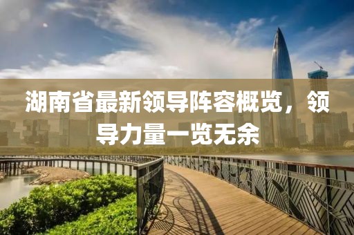 湖南省最新領(lǐng)導(dǎo)陣容概覽，領(lǐng)導(dǎo)力量一覽無(wú)余