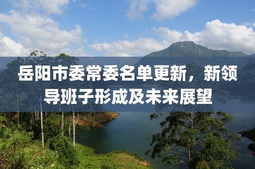 岳陽(yáng)市委常委名單更新，新領(lǐng)導(dǎo)班子形成及未來(lái)展望