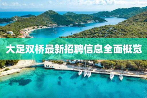 大足雙橋最新招聘信息全面概覽