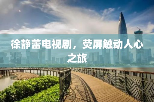 徐靜蕾電視劇，熒屏觸動(dòng)人心之旅