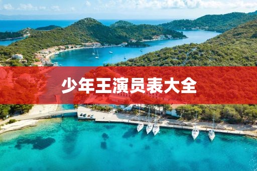 少年王演員表大全