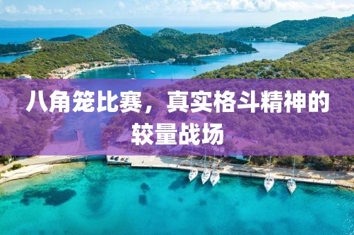 八角籠比賽，真實格斗精神的較量戰(zhàn)場