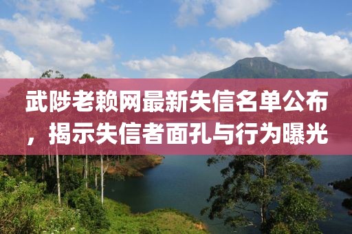 武陟老賴網(wǎng)最新失信名單公布，揭示失信者面孔與行為曝光