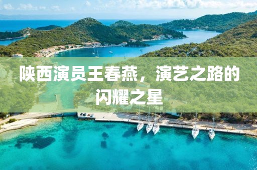 陜西演員王春燕，演藝之路的閃耀之星