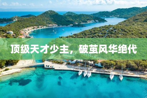 頂級(jí)天才少主，破繭風(fēng)華絕代