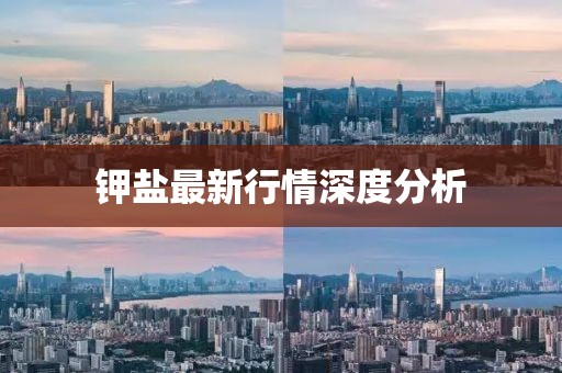 鉀鹽最新行情深度分析