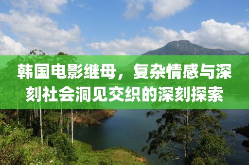 韓國(guó)電影繼母，復(fù)雜情感與深刻社會(huì)洞見(jiàn)交織的深刻探索
