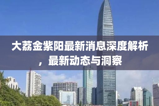 大荔金紫陽最新消息深度解析，最新動態(tài)與洞察