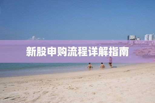 新股申購流程詳解指南