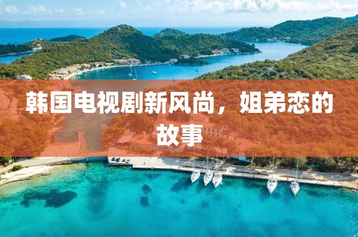 韓國電視劇新風(fēng)尚，姐弟戀的故事