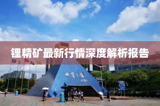 鋰精礦最新行情深度解析報告