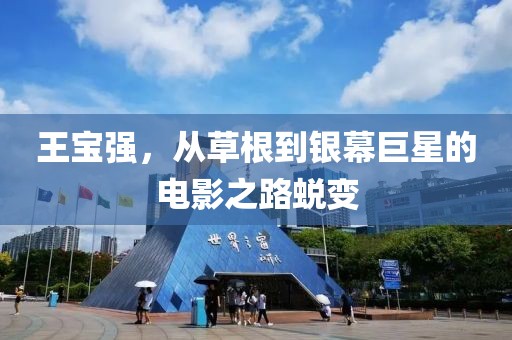 王寶強(qiáng)，從草根到銀幕巨星的電影之路蛻變