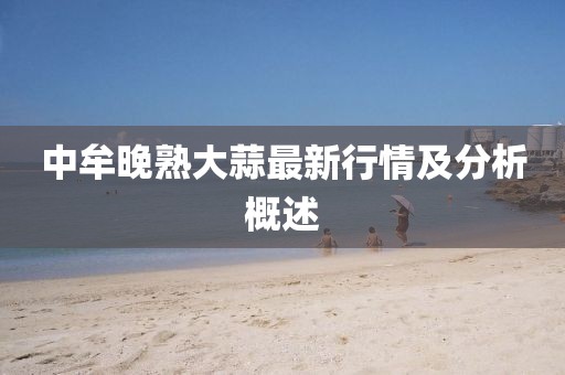 中牟晚熟大蒜最新行情及分析概述