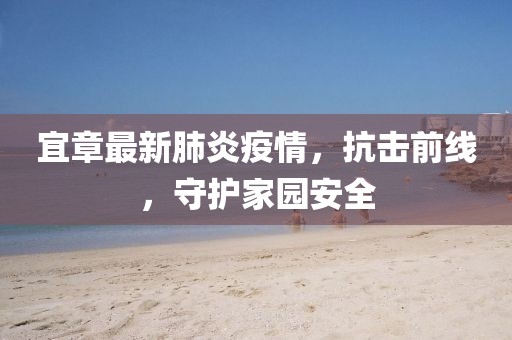 宜章最新肺炎疫情，抗擊前線，守護(hù)家園安全