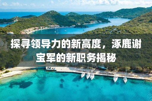 探尋領(lǐng)導(dǎo)力的新高度，涿鹿謝寶軍的新職務(wù)揭秘