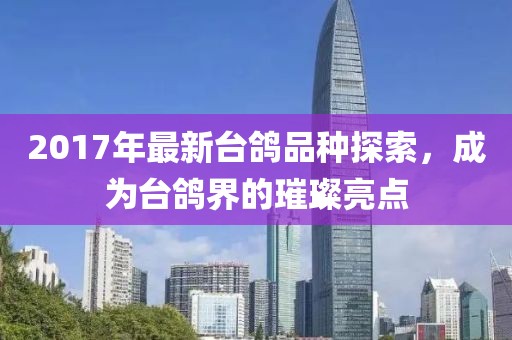 2017年最新臺(tái)鴿品種探索，成為臺(tái)鴿界的璀璨亮點(diǎn)