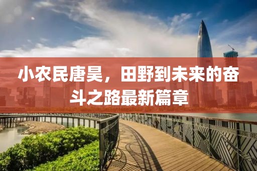 小農(nóng)民唐昊，田野到未來的奮斗之路最新篇章