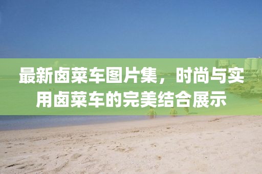 最新鹵菜車圖片集，時尚與實用鹵菜車的完美結(jié)合展示