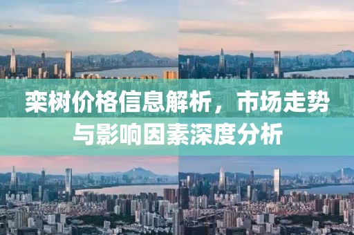 欒樹價(jià)格信息解析，市場(chǎng)走勢(shì)與影響因素深度分析