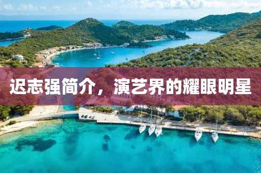 遲志強(qiáng)簡介，演藝界的耀眼明星