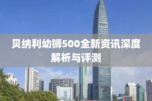 貝納利幼獅500全新資訊深度解析與評(píng)測(cè)