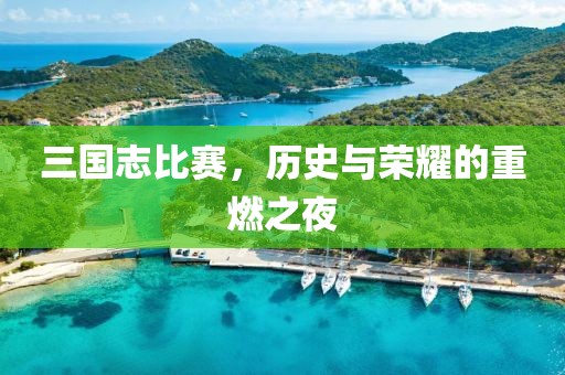 三國志比賽，歷史與榮耀的重燃之夜