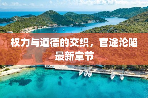 權(quán)力與道德的交織，官途淪陷最新章節(jié)