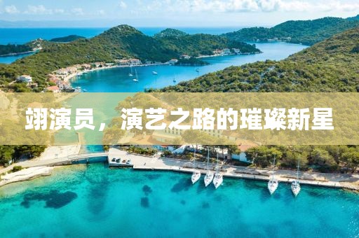 翊演員，演藝之路的璀璨新星