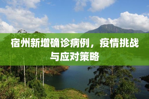 宿州新增確診病例，疫情挑戰(zhàn)與應對策略