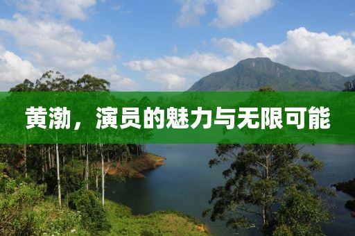 黃渤，演員的魅力與無限可能