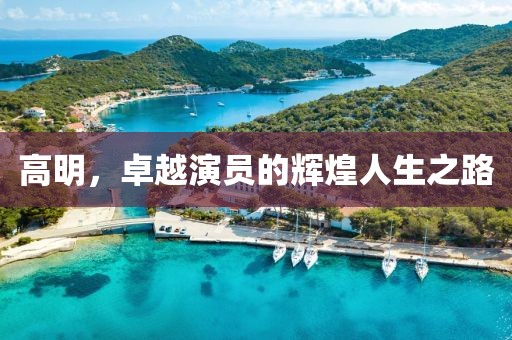 高明，卓越演員的輝煌人生之路
