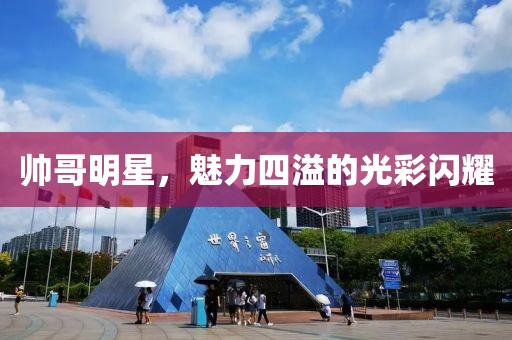 帥哥明星，魅力四溢的光彩閃耀