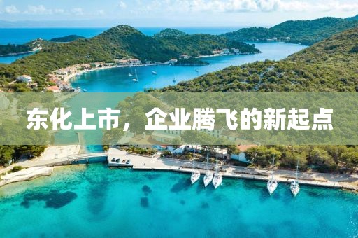 東化上市，企業(yè)騰飛的新起點