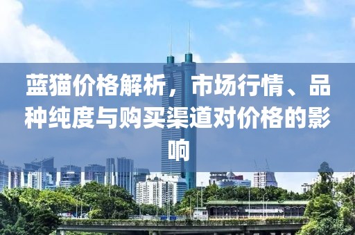 藍(lán)貓價格解析，市場行情、品種純度與購買渠道對價格的影響